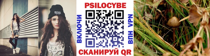 даркнет телеграм  продажа наркотиков  Новое Девяткино  Псилоцибиновые грибы Cubensis 