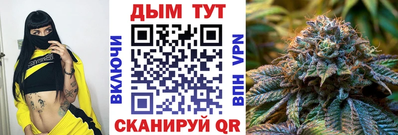 Конопля конопля Новое Девяткино